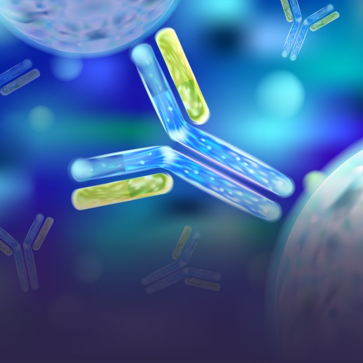 Recombinant Proteins